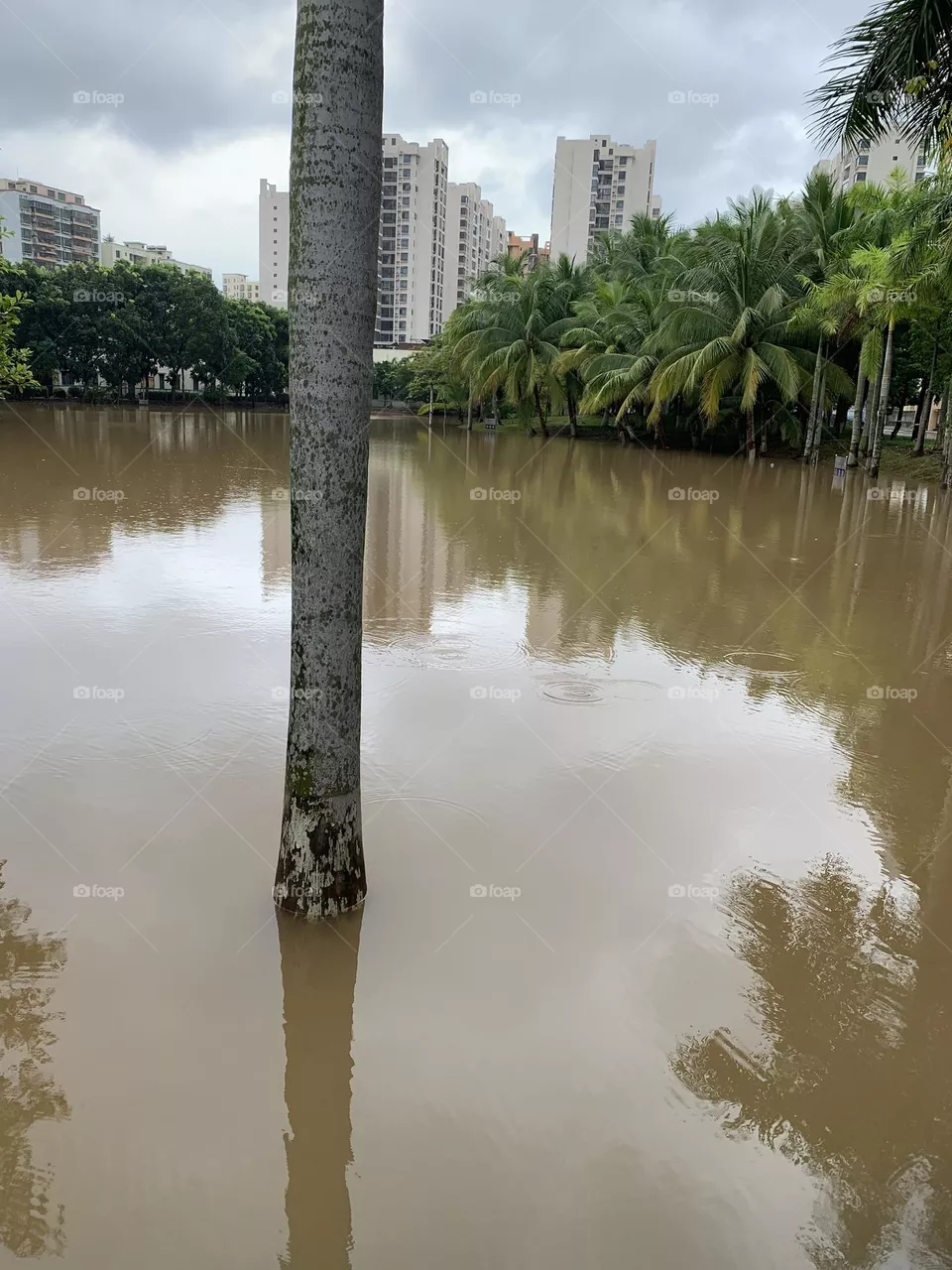 Water pond filled with rain water 