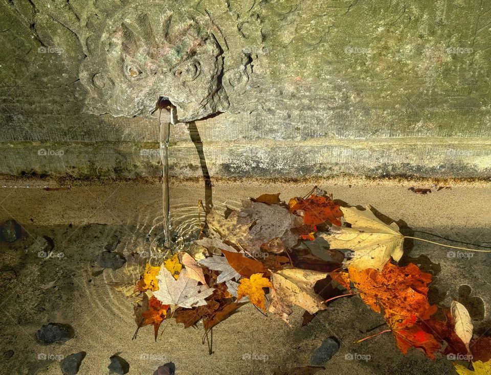 Autumn leaves collecting in an old stone fountain 