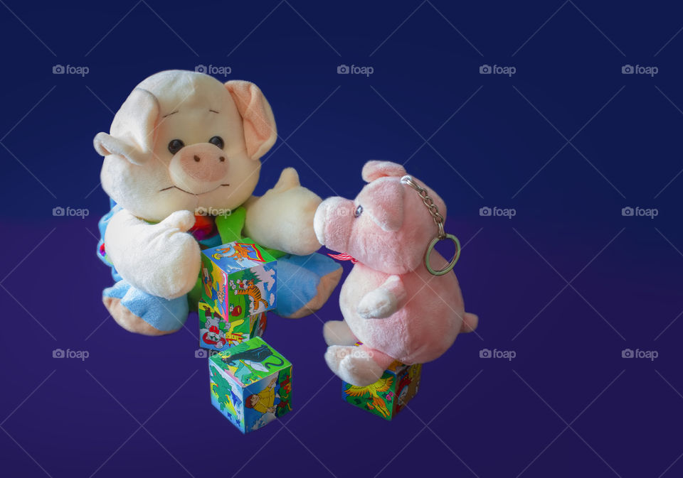 Pigs toys on a blue background. The toys are soft. Pigs are pink. Stuffed toys isolate. Pigs with cubes. Blue background.copy-space