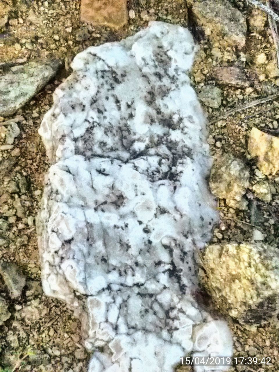 Quartz rock oddity with delicate random pattern