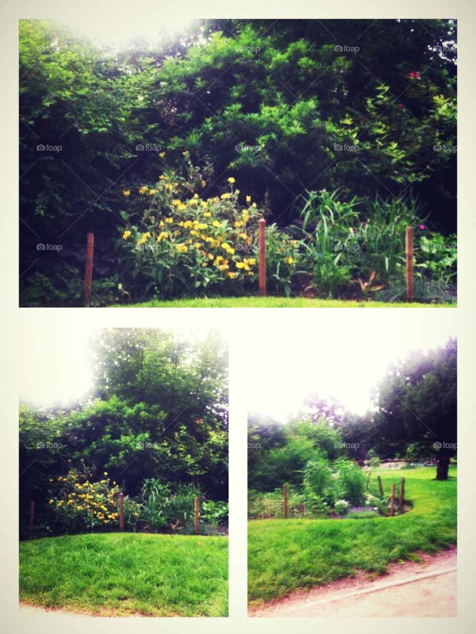 🌻Parc Monceau, Paris🌻 (http://jkvdtsar.tumblr.com) (https://www.instagram.com/p/BgrhbXzgtTv/?taken-by=jkvdtsar)