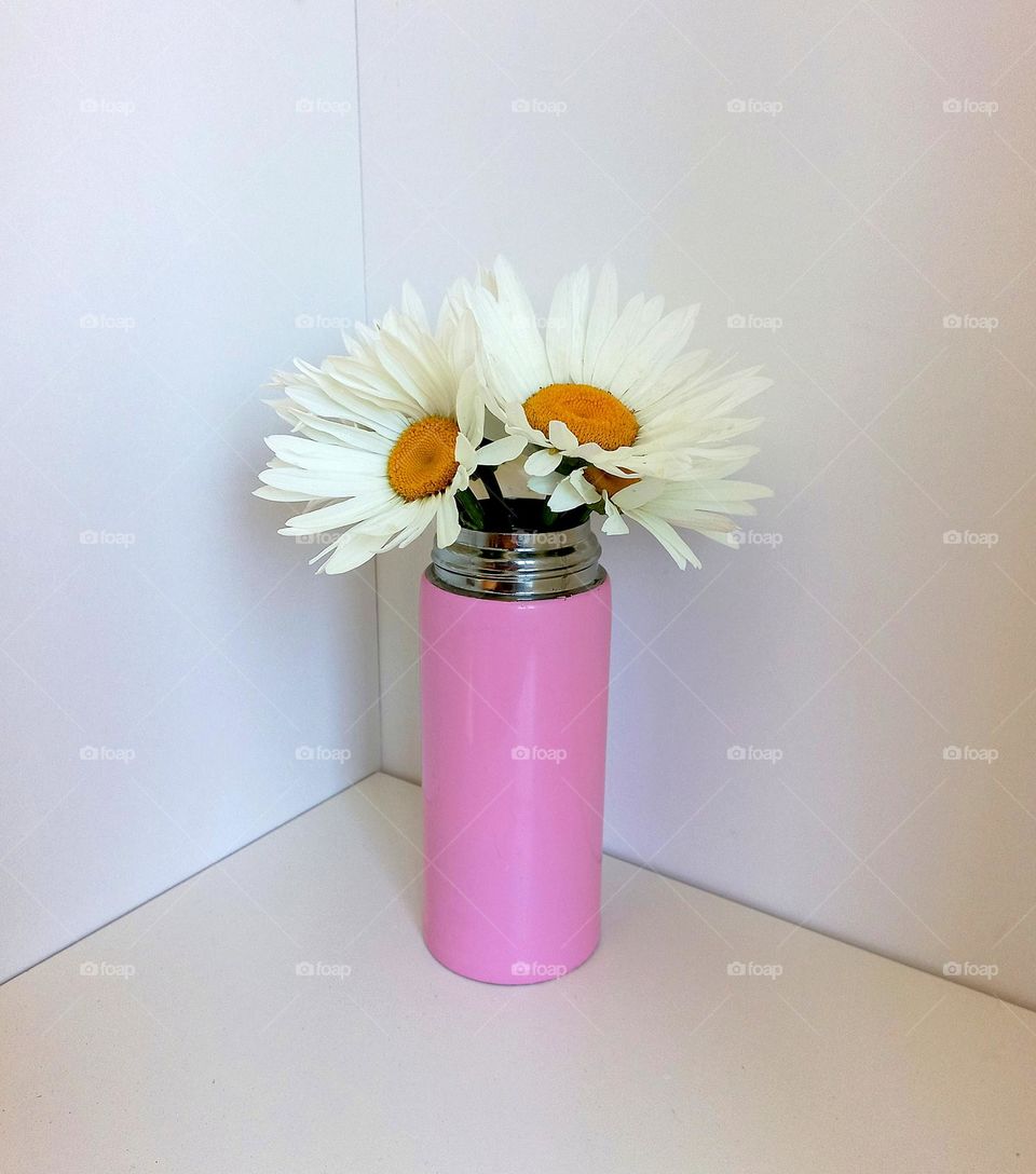 bouquet of daisies in a pink vase.