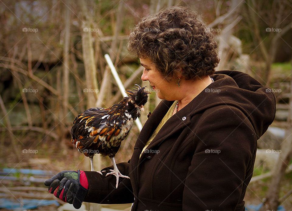 The Spring Chicken. The Spring Chicken