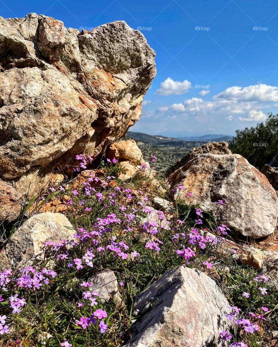 Spring on the mountain 