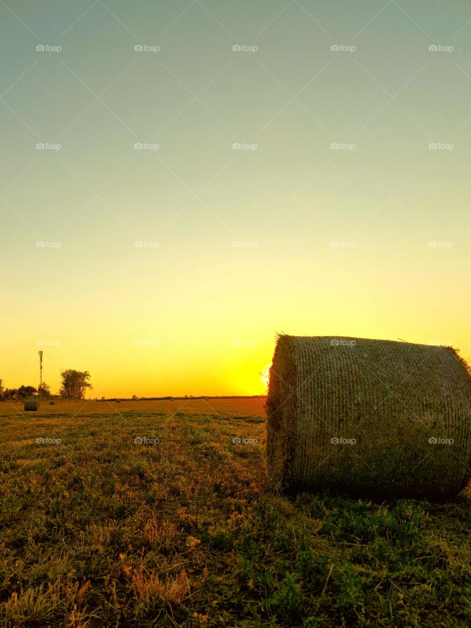 sunset on the meadow