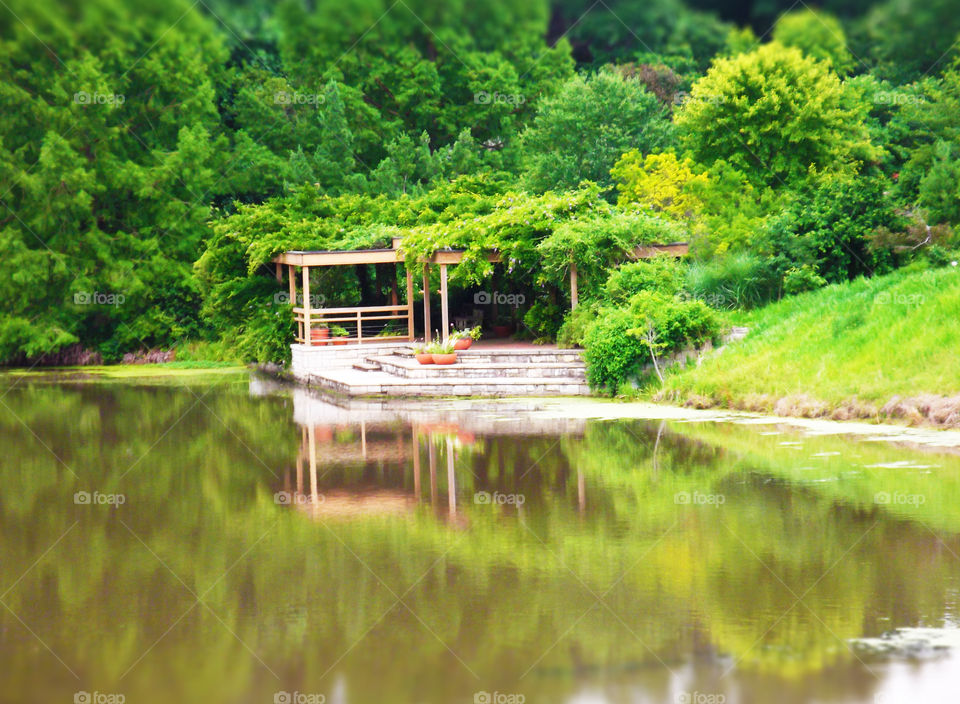 Dock on Lake, Powell Gardens, Kansas City. A peaceful setting of a dock, surrounded by trees, reflecting off a lake at Powell Gardens in Kansas City. I created a tilt shift effect, giving the photo a vibrant look.