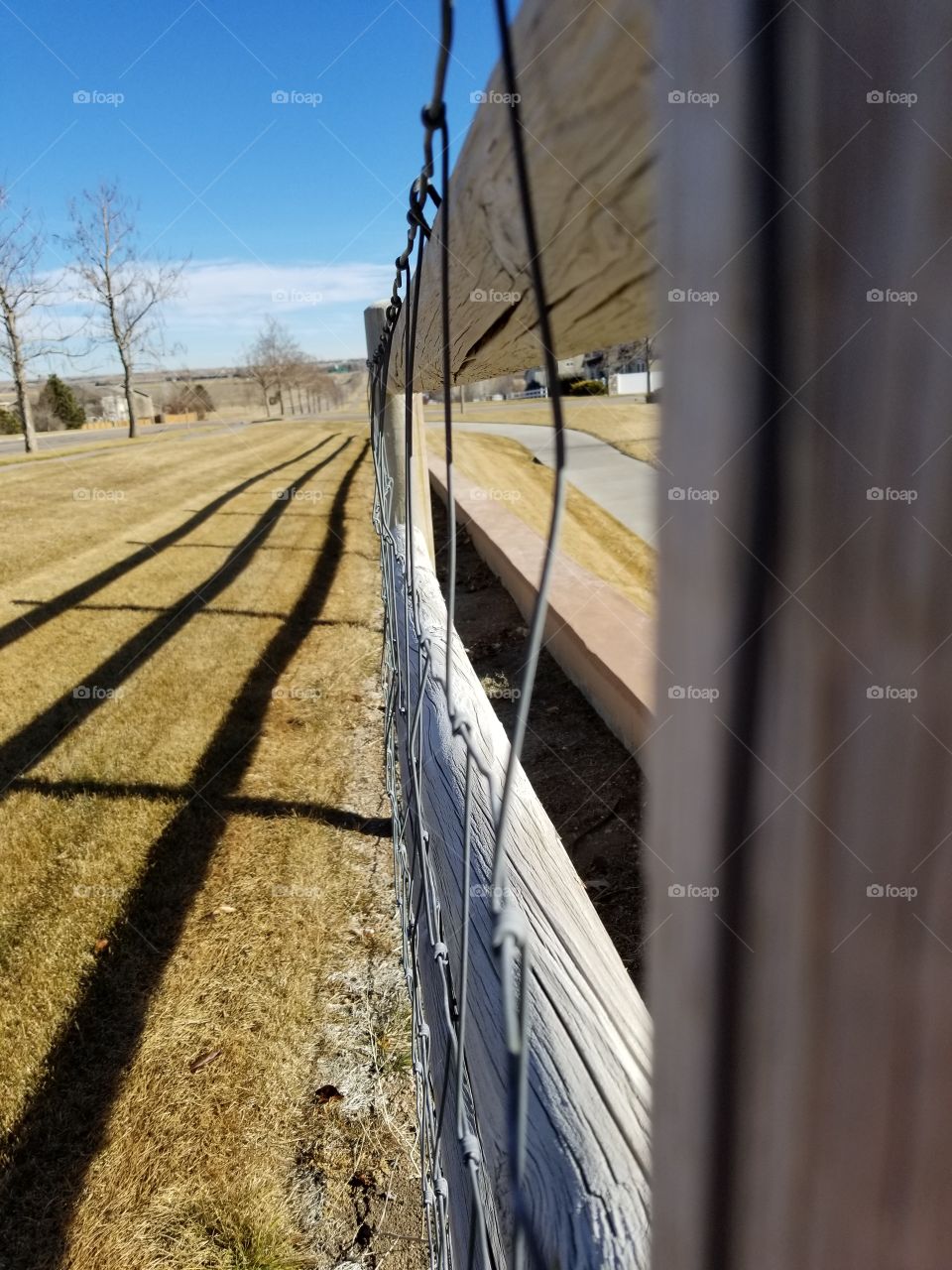 fence and shadow winter