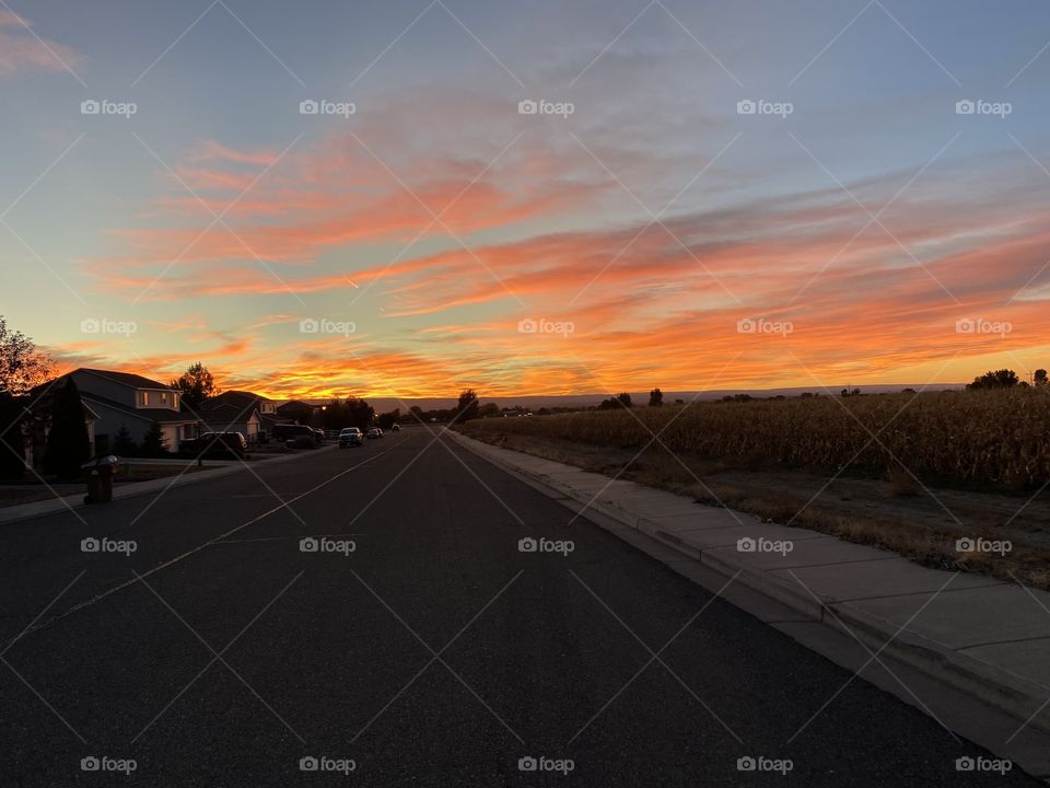 Neighborhood sunset