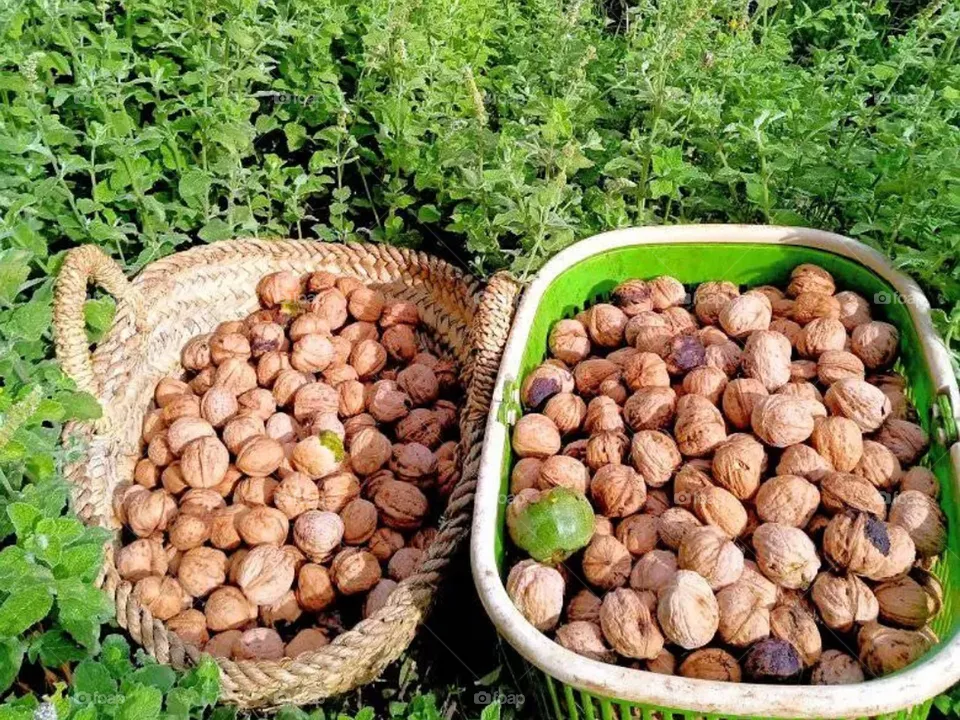 natural foods