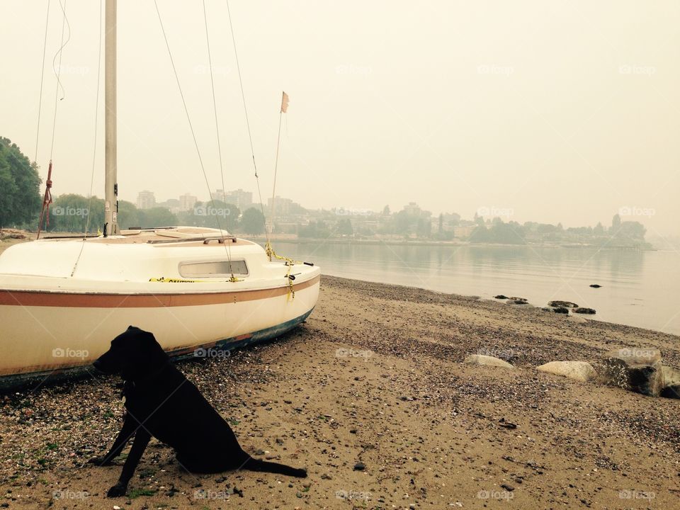 Last year there were so many forest fires that Vancouver was perpetually smokey.  It made for some interesting lighting. 