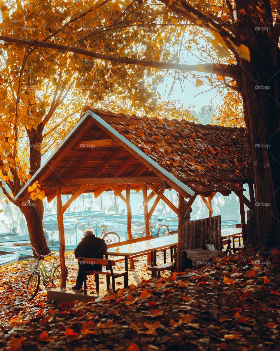 happy autumn therapy