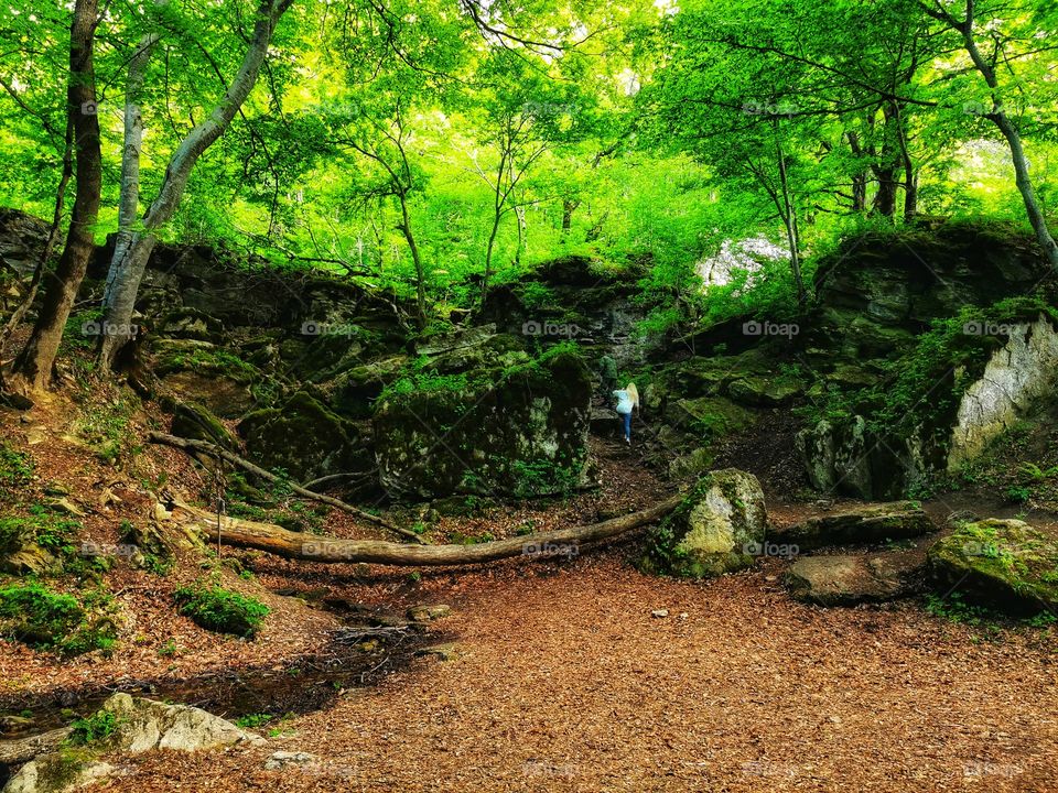 Green plant flower beauty nature greens outdoor wild portrait
