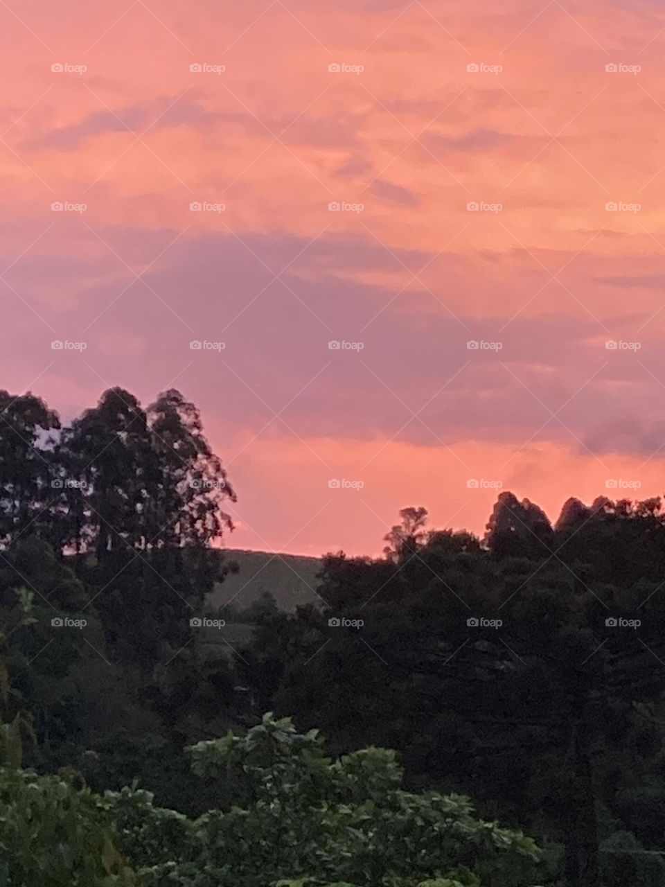 Paisagem de fim de tarde com céu colorido, árvores e morro.