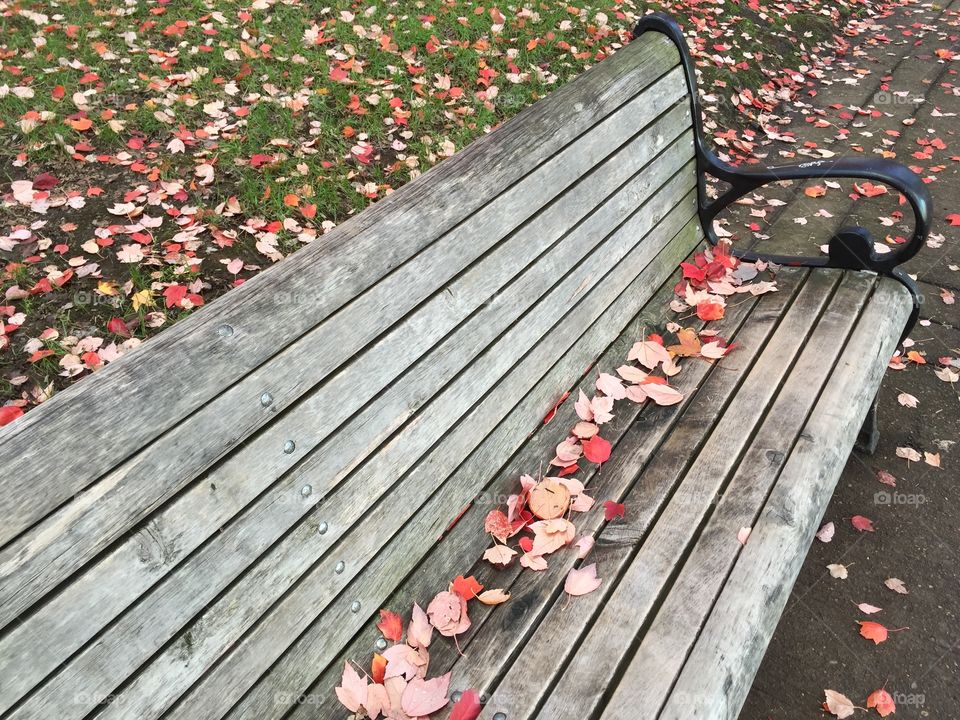 Park bench