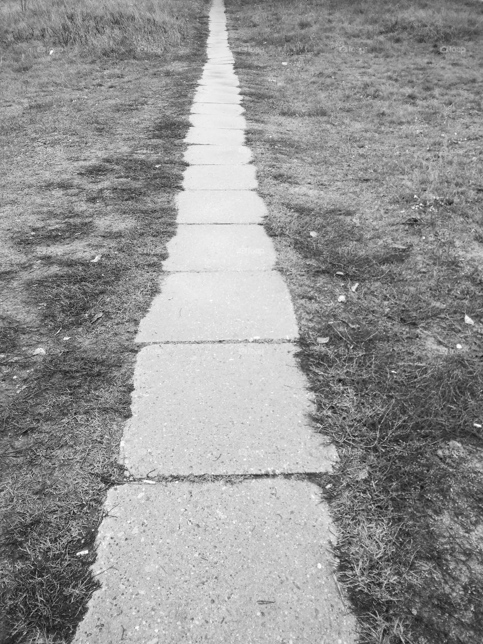 Old Concrete Tile Road Track On The Grass Field