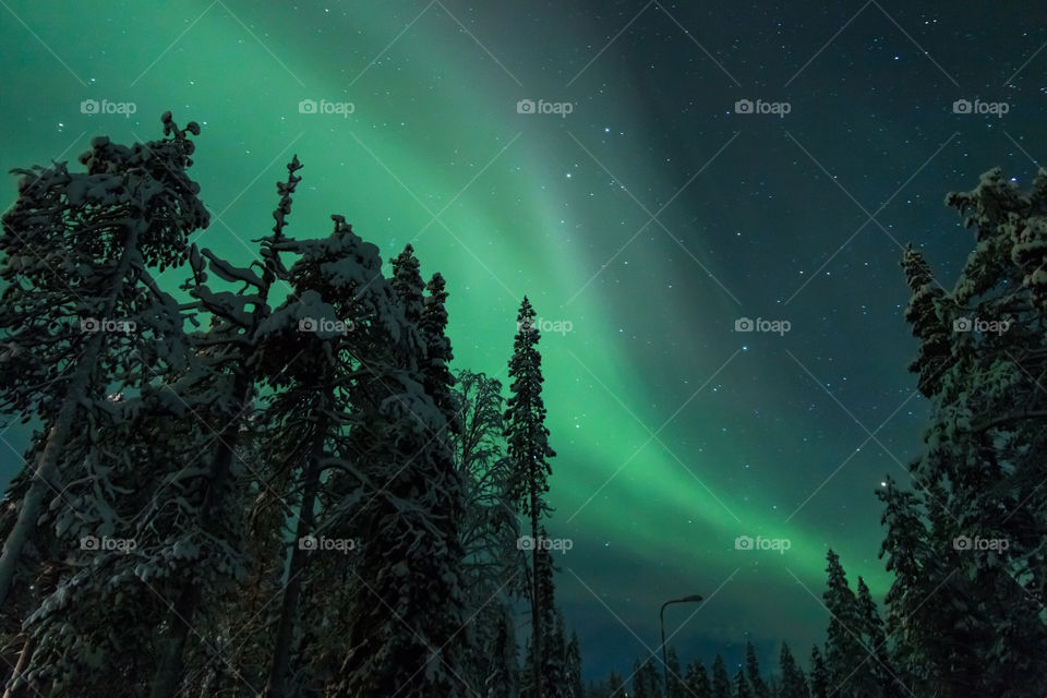 Low angle view of aurora borealis in night