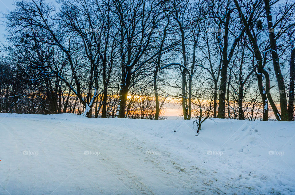 Nature landscape during sunset