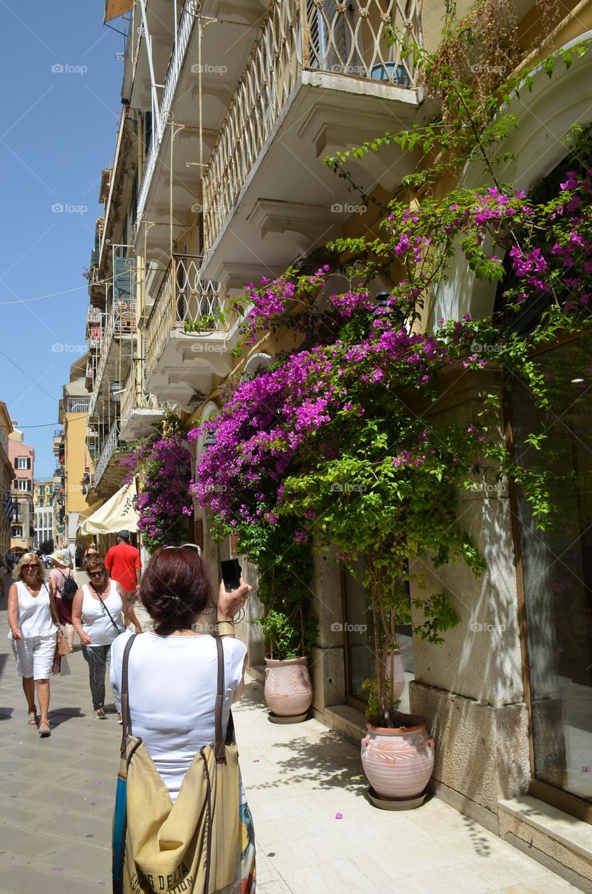 Beautiful street Decoration with Plants and Flowers in Corfu