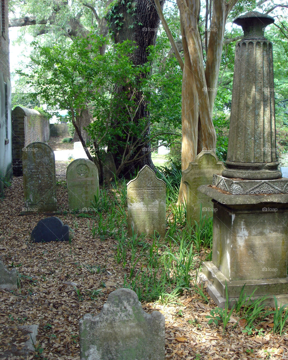 Cemetery 