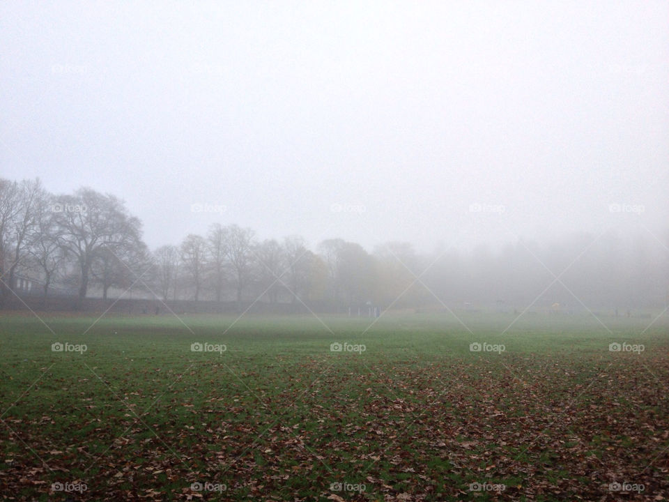 field park autumn fog by uzzidaman