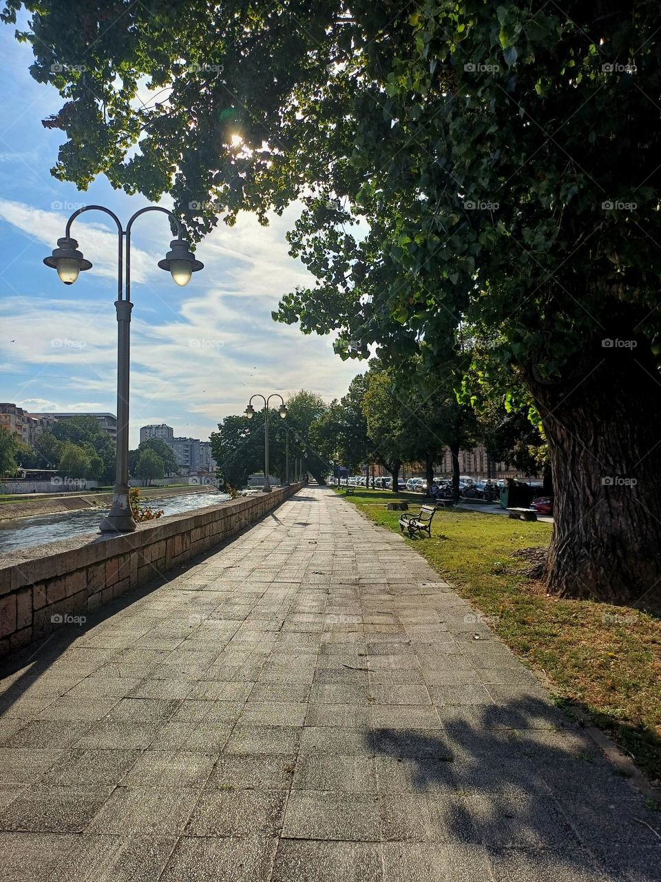 Beautiful sunny day on the river