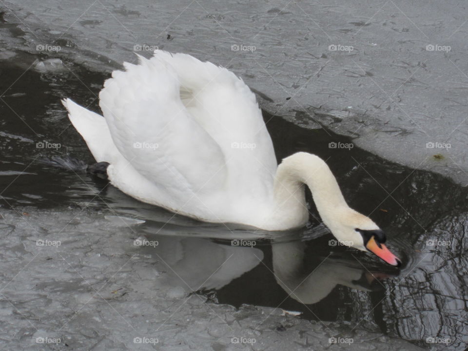 A Cold Drink