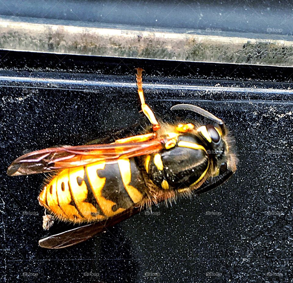 Captured with iPhone 6s Plus 