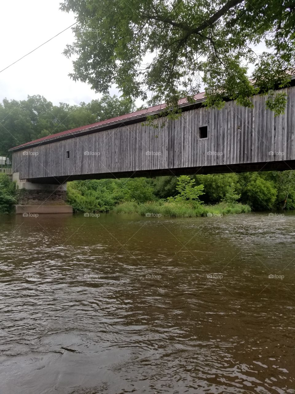 Bridge, Water, River, Wood, Nature