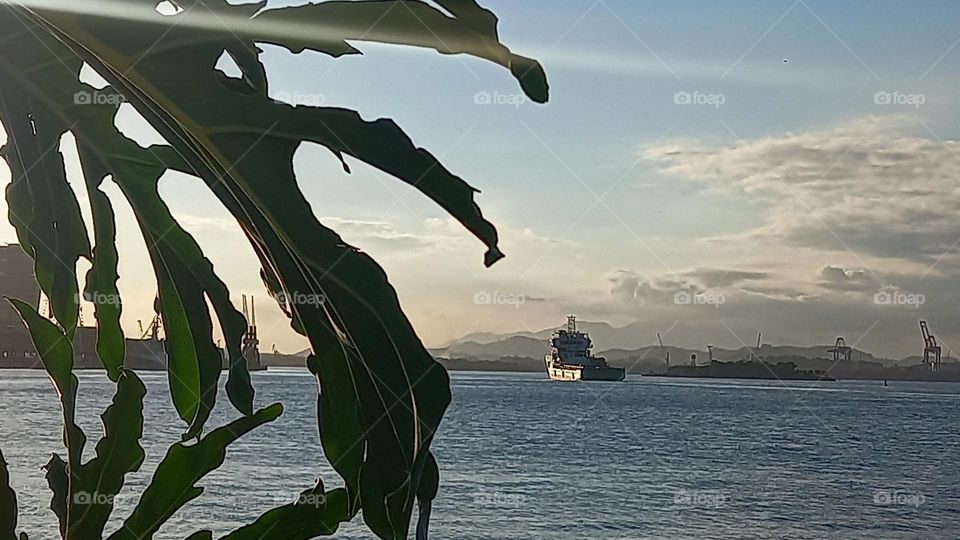 Tarde no Porto do Rio