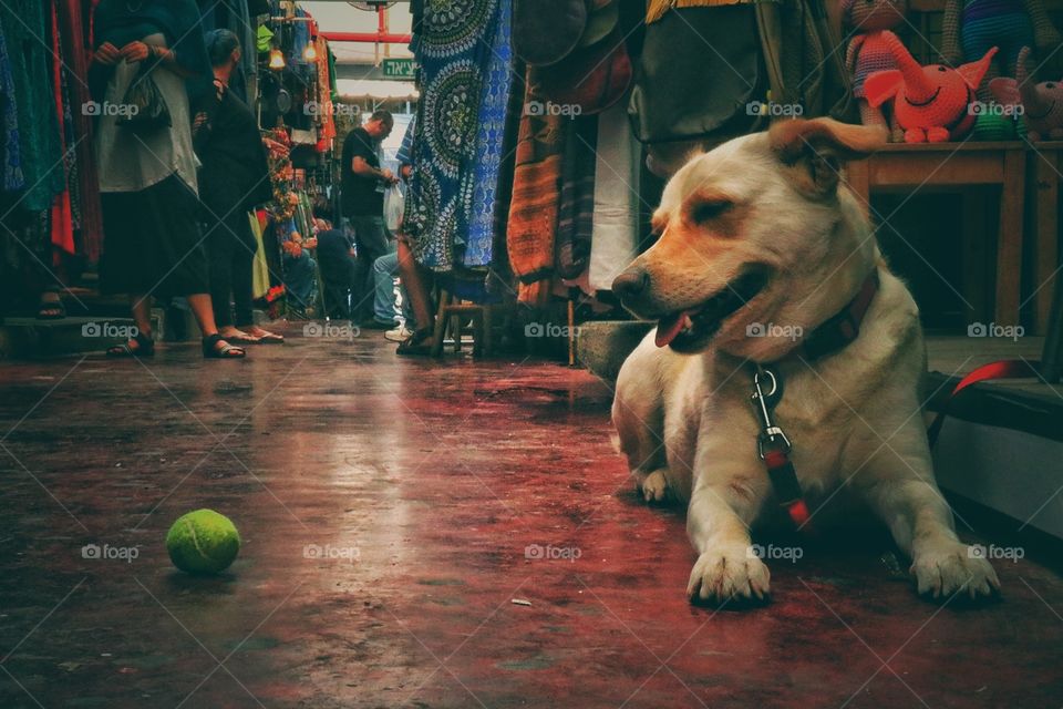 i want someone that looks to me like he looks to that ball