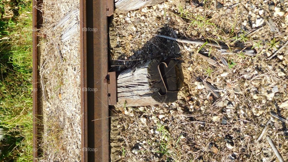 Railway rail support 