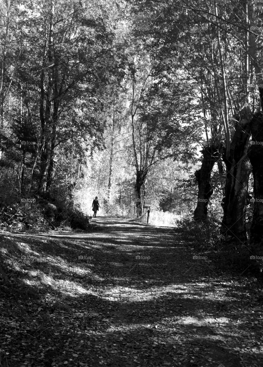 Hiking in Norway. Black and white sunday walk