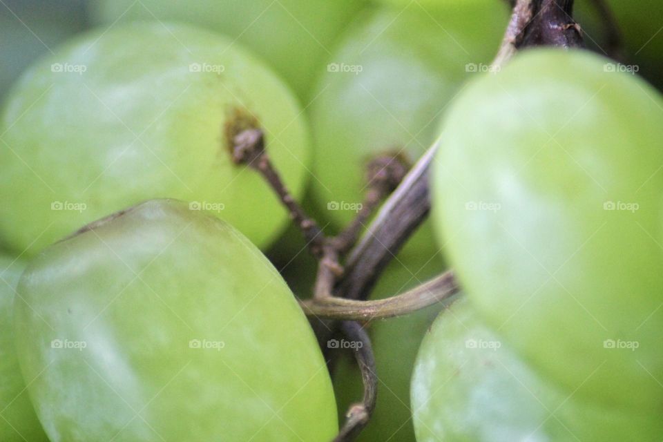 Grapes 🍇