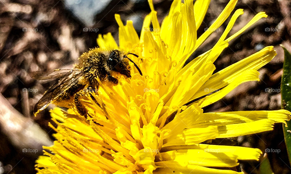 Hey, there good looking 