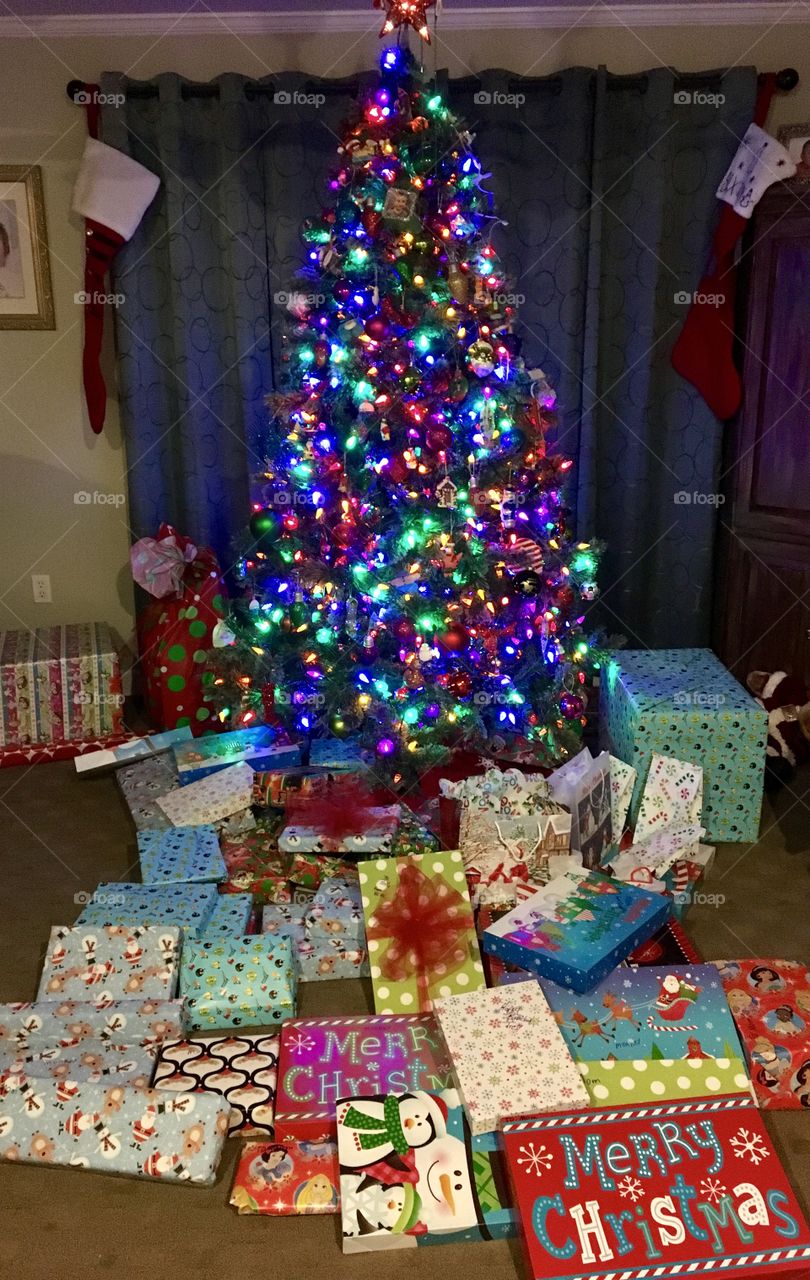 What’s hiding under the tree?!