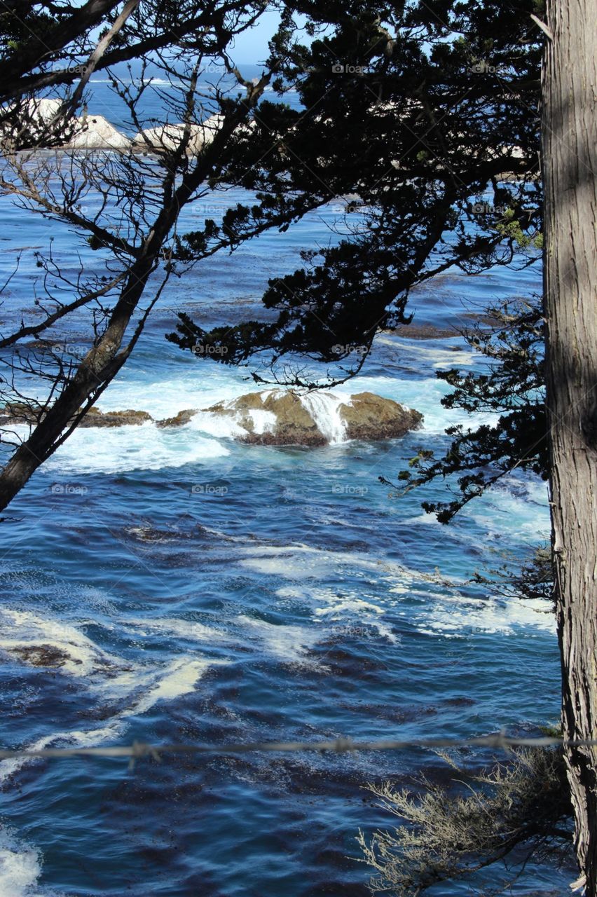 California coast