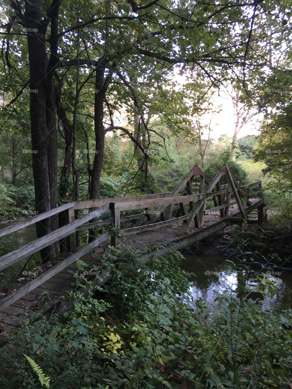 Bridge in evening