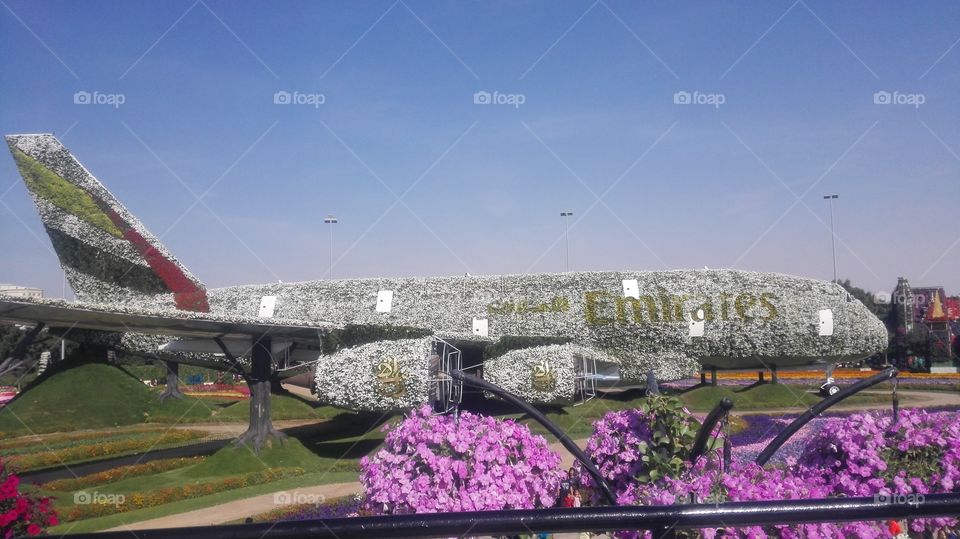 Emirates  airline made for flowers