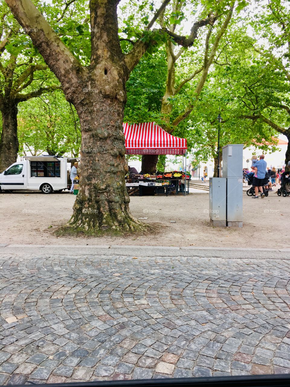 Just small businesses in town 