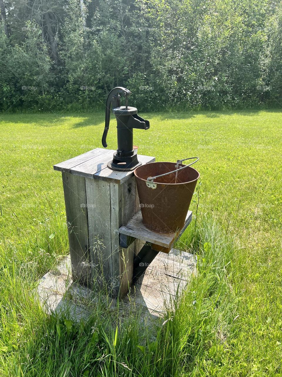 A backyard well 