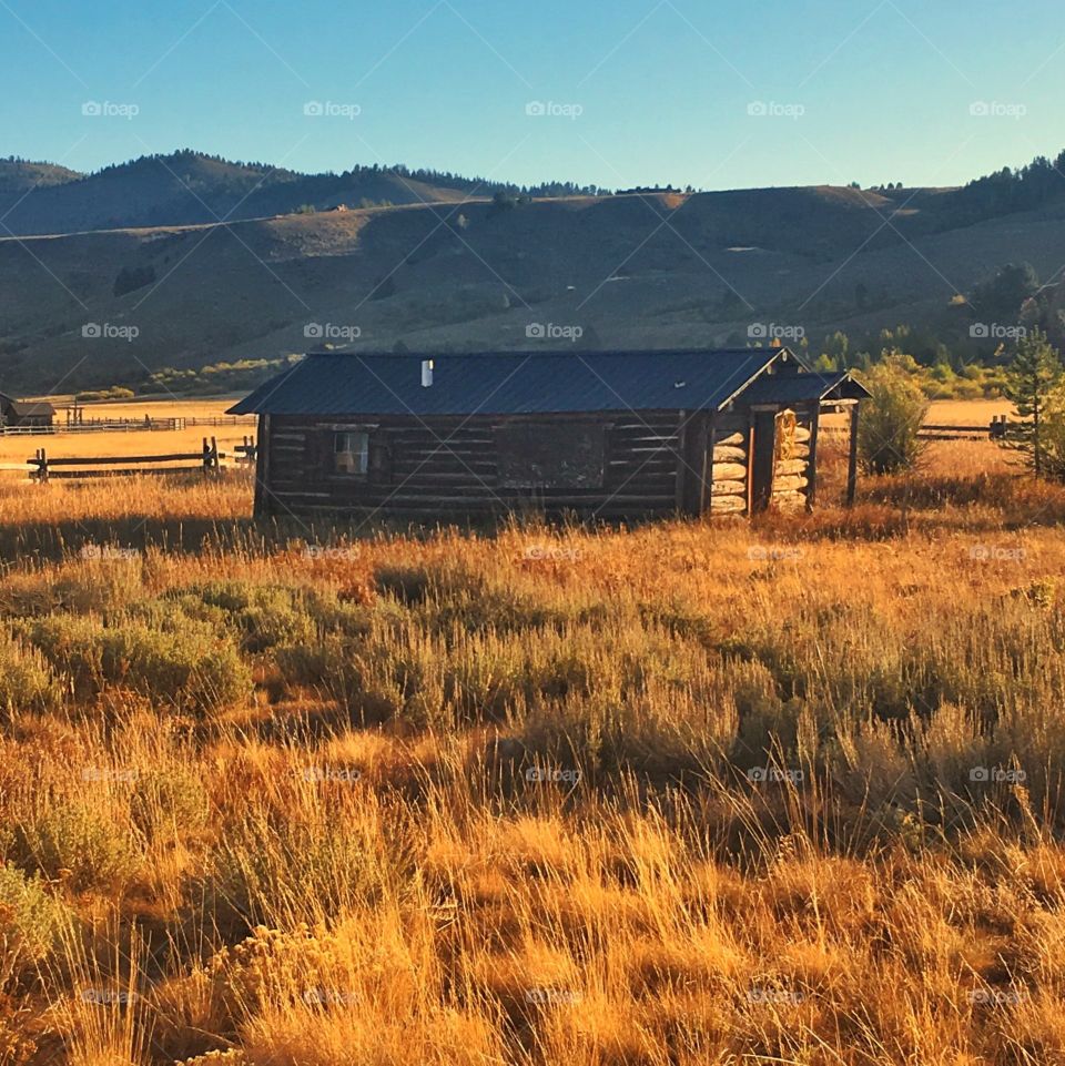 Rustic Abandoned Mountain Log Cabin