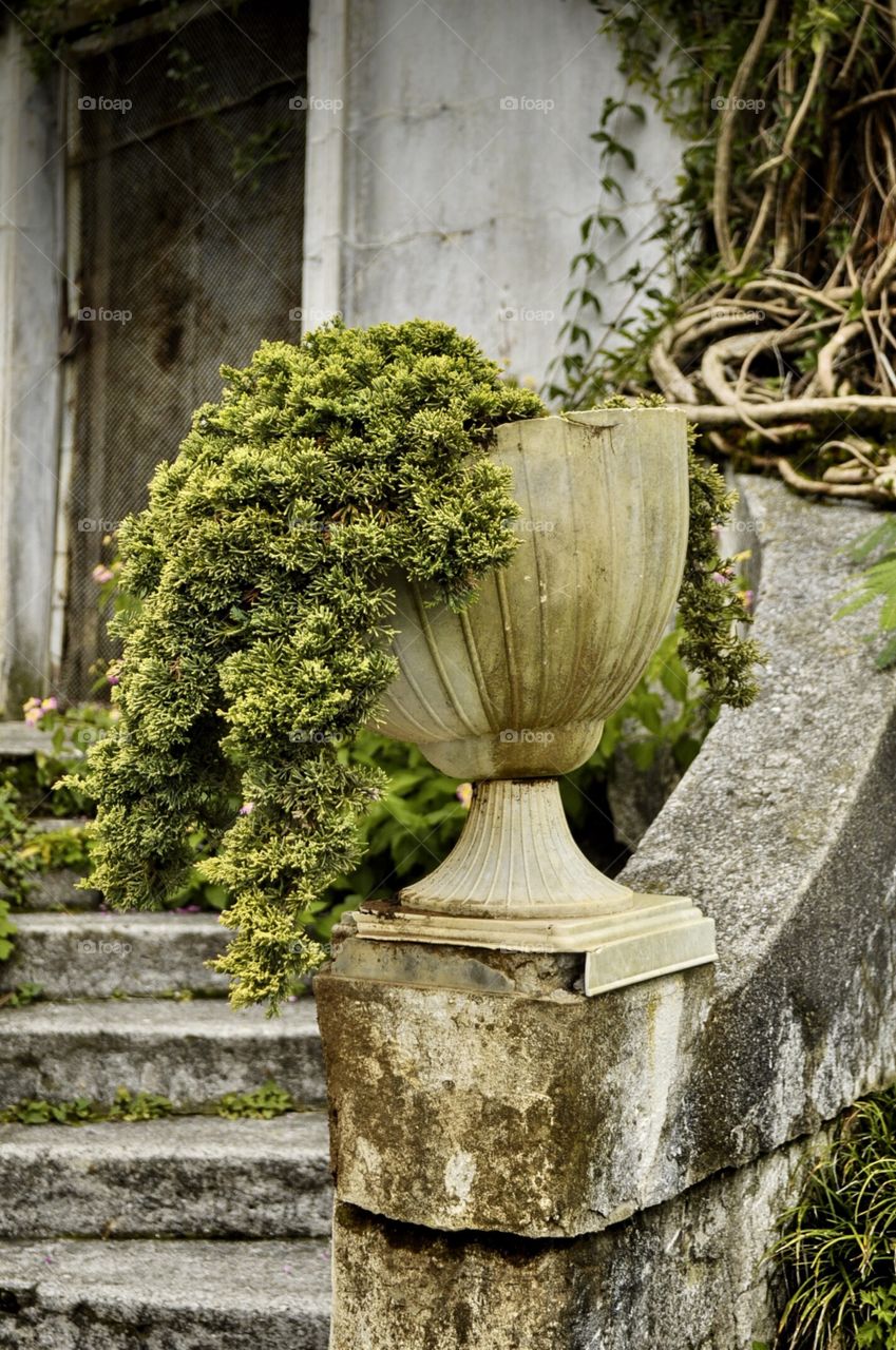 No Person, Garden, Flower, Stone, Architecture