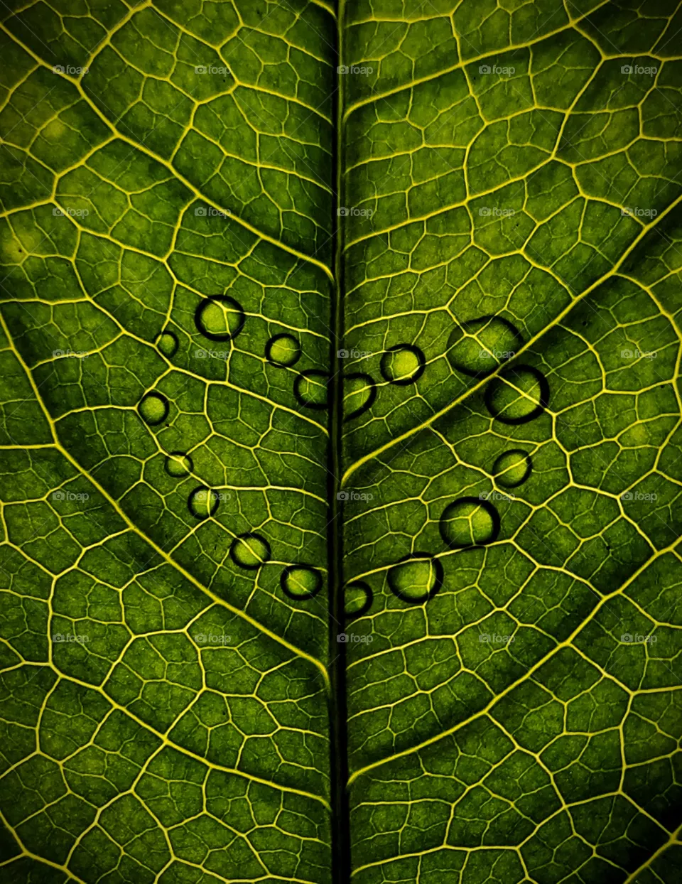 love nature 💚