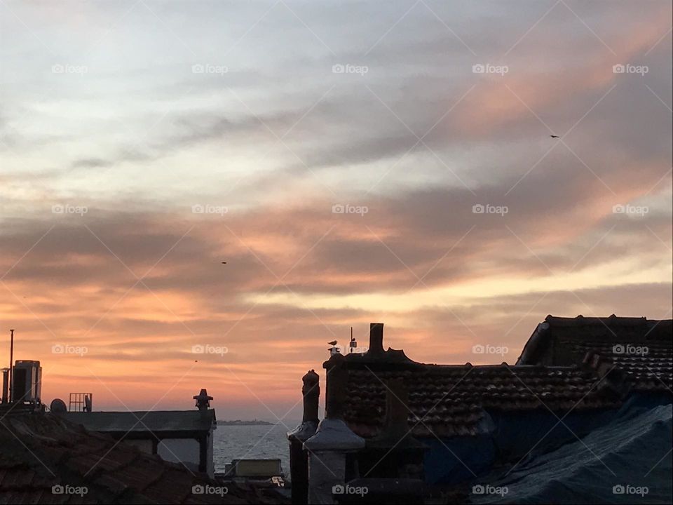 Only seagulls hear the angels' song at dawn. Open the window, be all ears. The morning's gentle breeze fills your heart with celestial beauty.