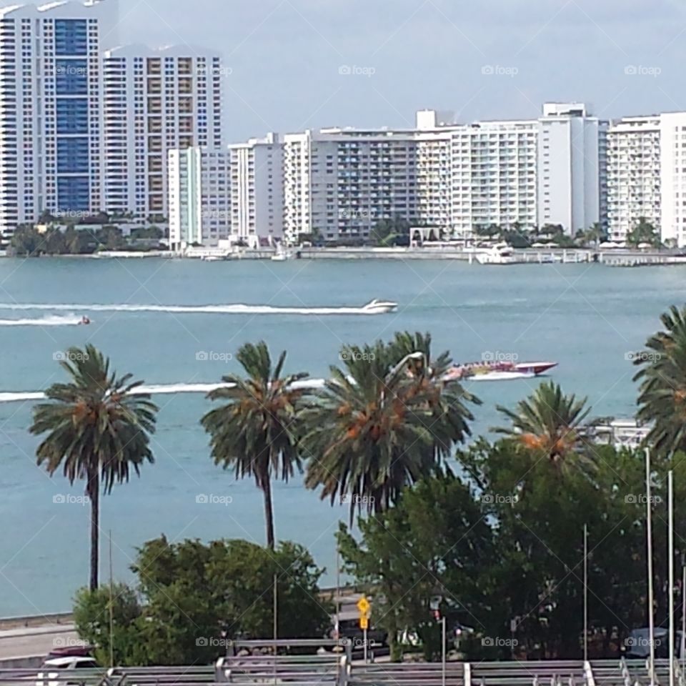 Miami Beautiful