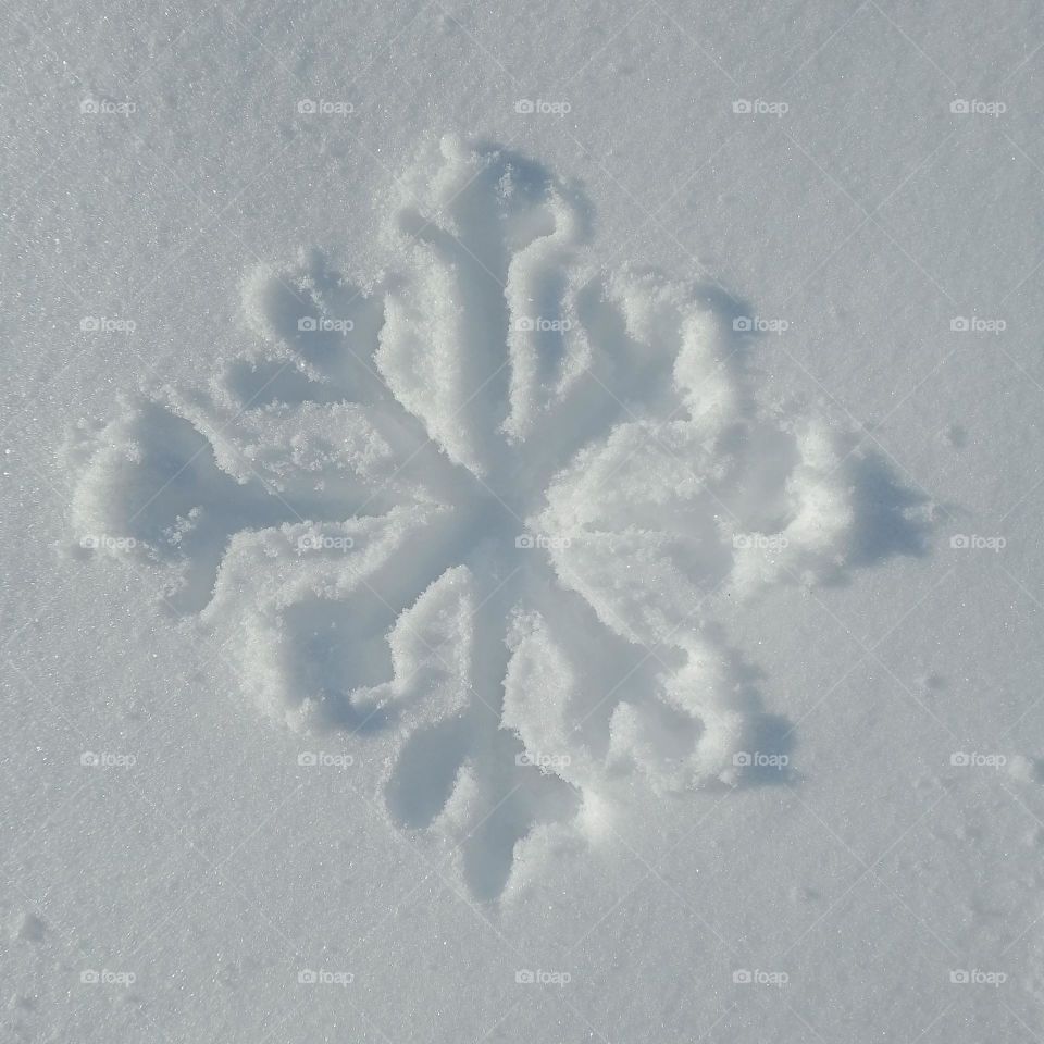 Not quite perfect, but still a snowflake :)❄️ I decided to be an artist, so to speak, using a snow fur coat as a canvas, and an icicle became my handy brush 😃🥶🌨️📷🤍
