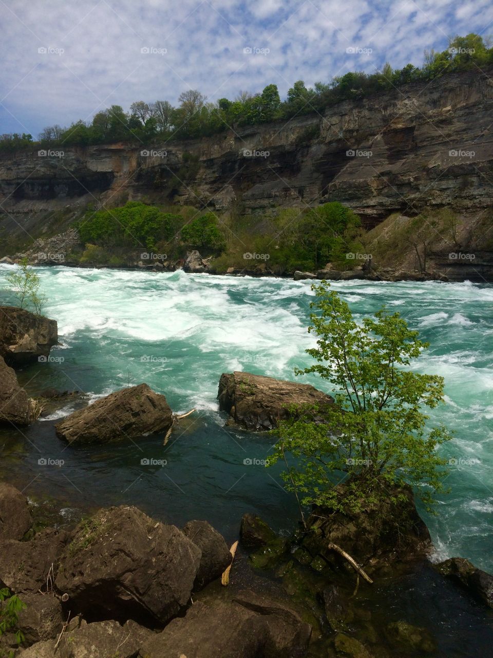 Niagara Falls Rapids 