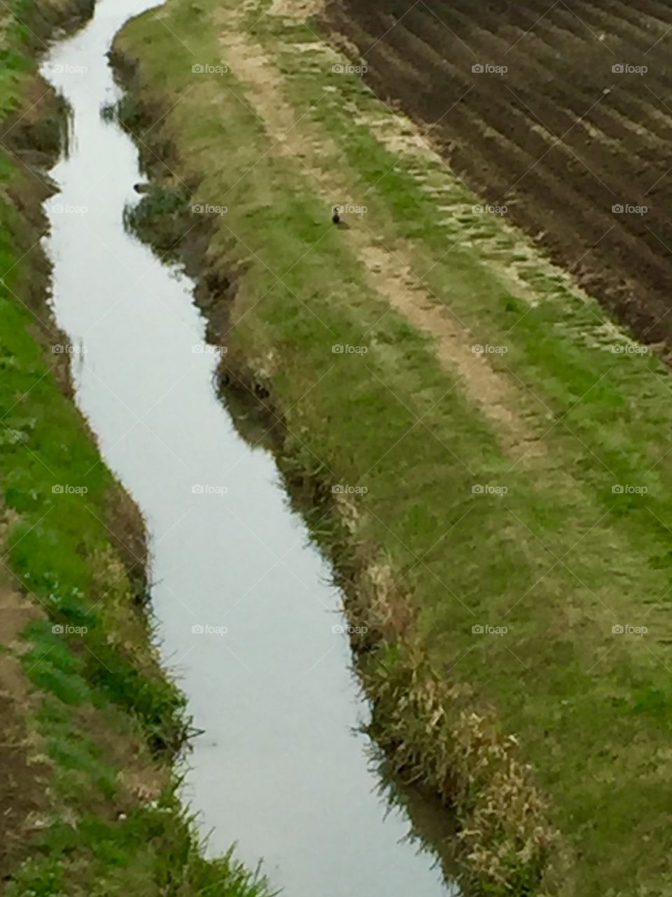 View from a bridge into the canal