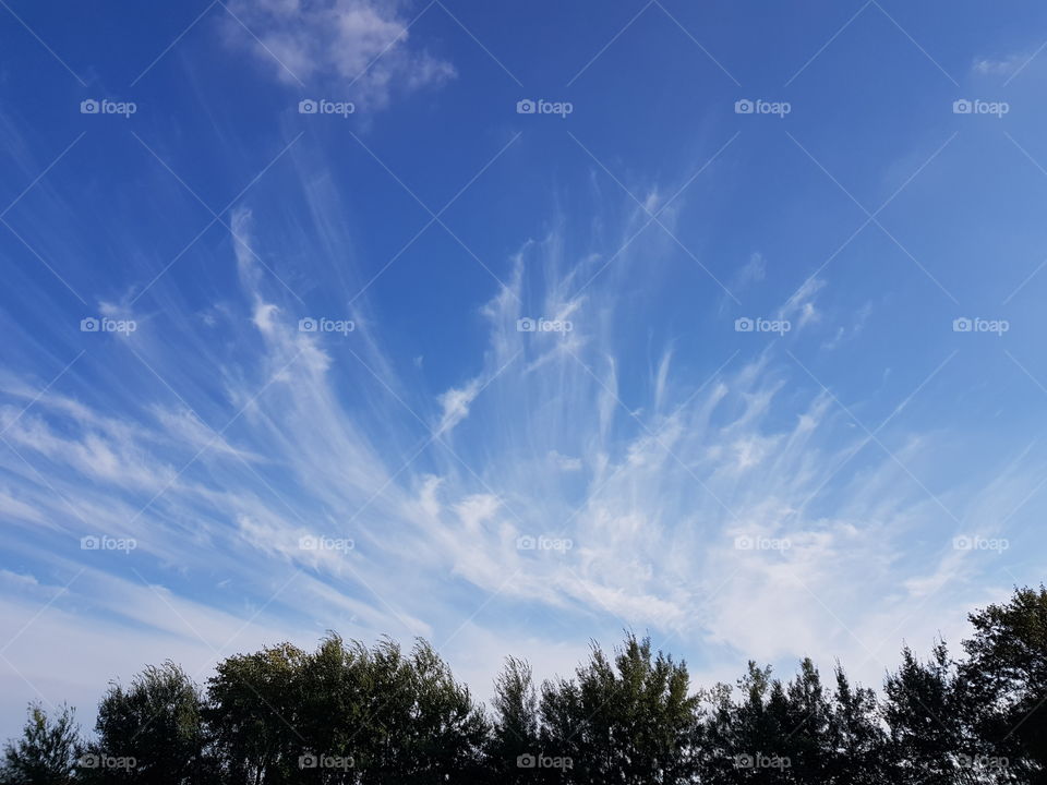 Beautiful sky over treetop