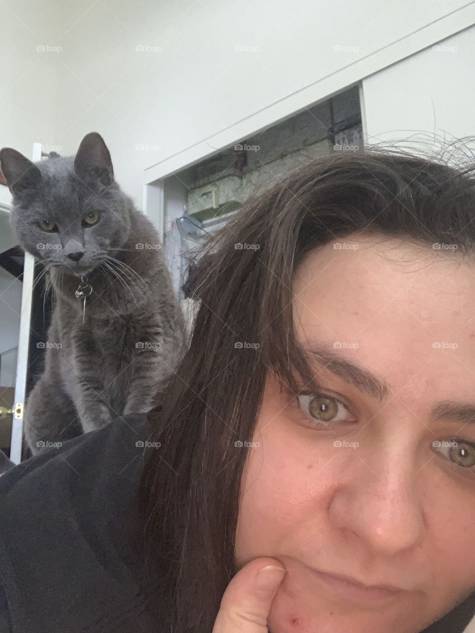 Cat massage... or cat murder? 